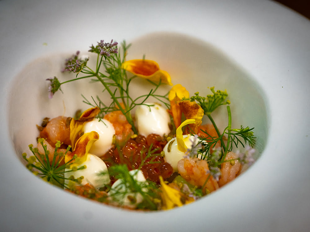 d&eacute;couvrez une cuisine contemporaine d&rsquo;exception &agrave; paris 75017 : recettes innovantes, d&eacute;coration moderne et conseils pour am&eacute;nager votre espace culinaire dans un style actuel et &eacute;l&eacute;gant.