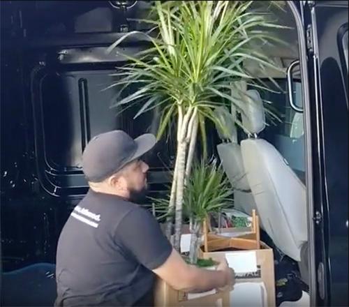 d&eacute;couvrez les meilleures adresses pour acheter des plantes d