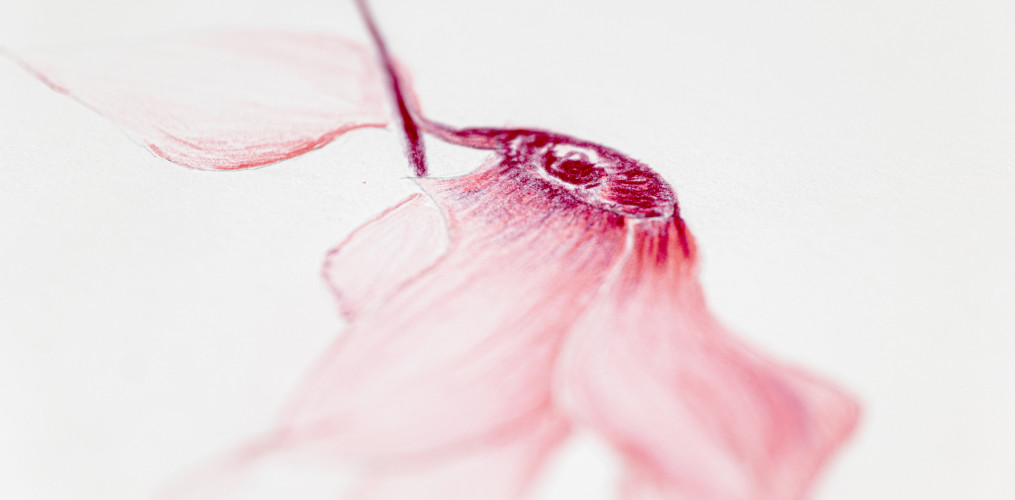 d&eacute;couvrez les tarifs de la peinture &agrave; paris 17e en 2025 : comparez les prix, les prestations et trouvez un professionnel qualifi&eacute; pour vos travaux de peinture.