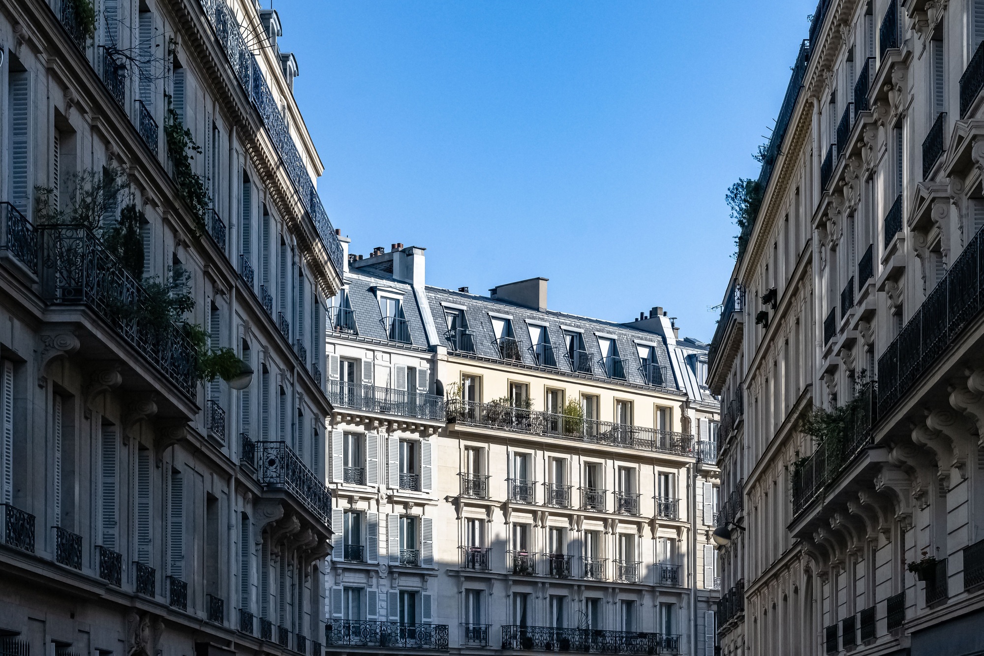 découvrez nos solutions innovantes pour la rénovation d’immeubles à paris en 2025. travaux de qualité, optimisation énergétique et accompagnement sur-mesure pour valoriser votre patrimoine immobilier.