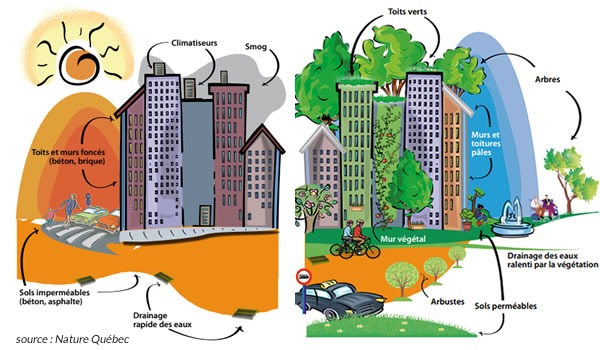 découvrez comment choisir des matériaux durables et écologiques pour l’aménagement de votre espace à paris 17. conseils pratiques et sélection de matériaux responsables pour un projet respectueux de l’environnement.
