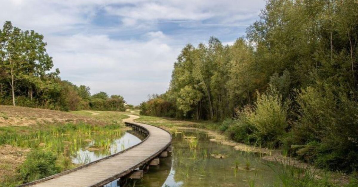 d&eacute;couvrez comment int&eacute;grer la nature dans votre quotidien pour am&eacute;liorer votre bien-&ecirc;tre, favoriser la d&eacute;tente et cr&eacute;er un environnement harmonieux, que ce soit &agrave; la maison ou au travail.