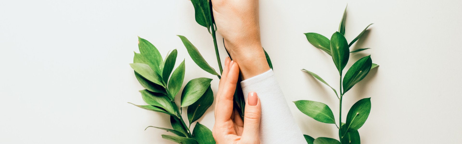 d&eacute;couvrez comment int&eacute;grer la nature dans votre quotidien pour am&eacute;liorer votre bien-&ecirc;tre et cr&eacute;er un environnement harmonieux, &agrave; la maison comme au travail.