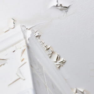 d&eacute;couvrez le prix au m2 pour des travaux de peinture &agrave; paris 75017. obtenez une estimation pr&eacute;cise pour vos projets de peinture int&eacute;rieure ou ext&eacute;rieure, r&eacute;alis&eacute;e par des professionnels qualifi&eacute;s.